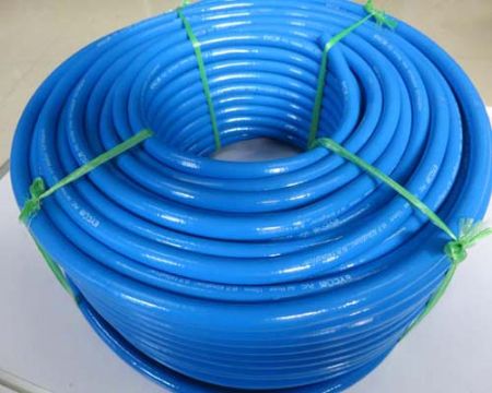 ������Ȳ��